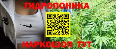 ECSTASY Кулебаки